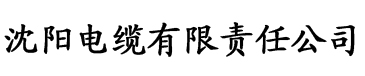 国语网电缆厂logo